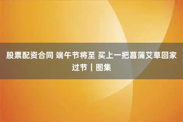 股票配资合同 端午节将至 买上一把菖蒲艾草回家过节｜图集
